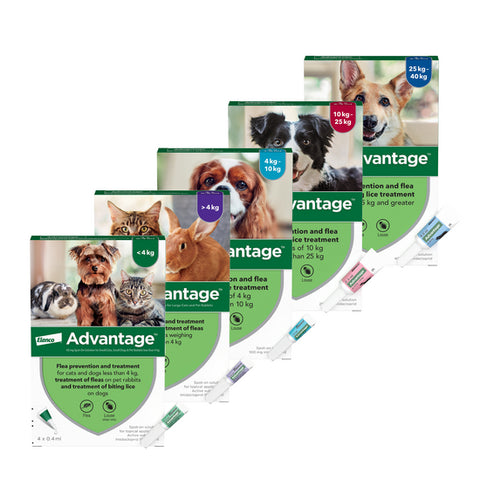 Advantage™ Spot-On Flea Treatment