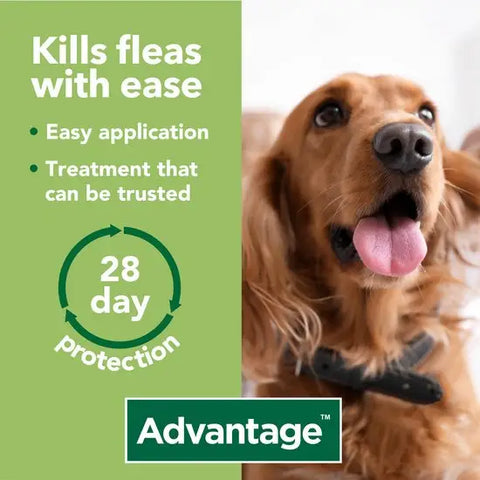 Advantage™ Spot-On Flea Treatment