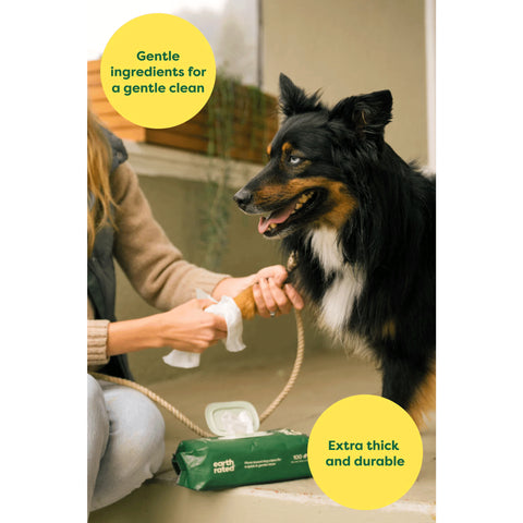 Earth Rated Dog Grooming Wipes Unscented (pack of 100)